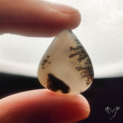 Dendritic Agate Cabochon
