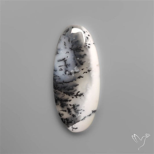 Dendritic Agate Cabochon