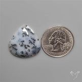 Dendritic Agate Cabochon