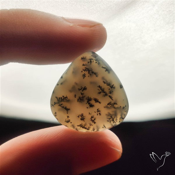 Dendritic Agate Cabochon