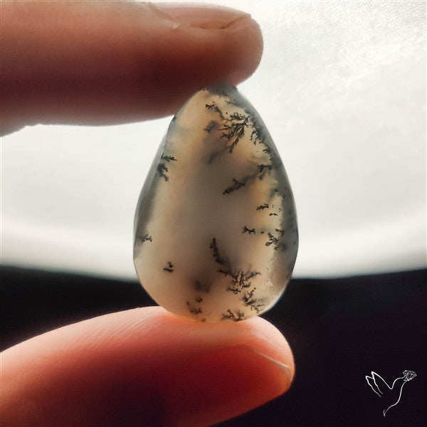 Dendritic Agate Cabochon