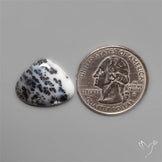 Dendritic Agate Cabochon