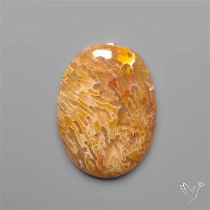 Rare Smugglers Cove Moss Agate Cabochon from Utah