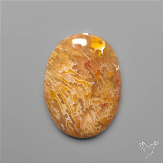 Rare Smugglers Cove Moss Agate Cabochon from Utah