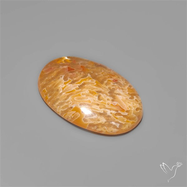 Rare Smugglers Cove Moss Agate Cabochon from Utah