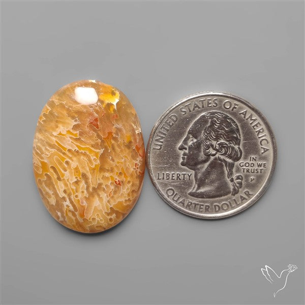 Rare Smugglers Cove Moss Agate Cabochon from Utah