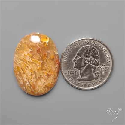 Rare Smugglers Cove Moss Agate Cabochon from Utah