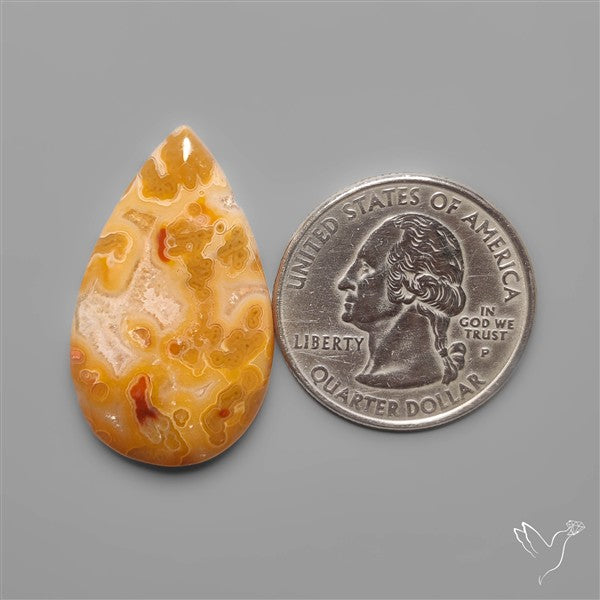 Rare Smugglers Cove Moss Agate Cabochon from Utah