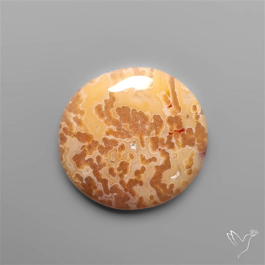 Rare Smugglers Cove Moss Agate Cabochon from Utah