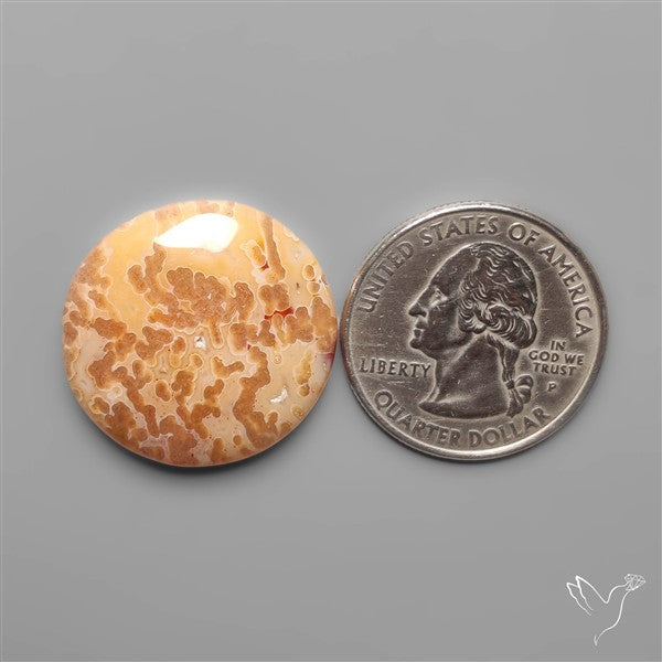 Rare Smugglers Cove Moss Agate Cabochon from Utah