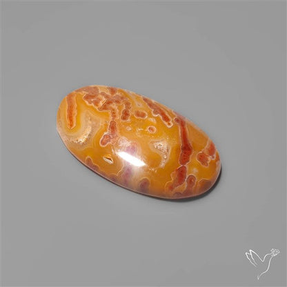 Rare Smugglers Cove Moss Agate Cabochon from Utah