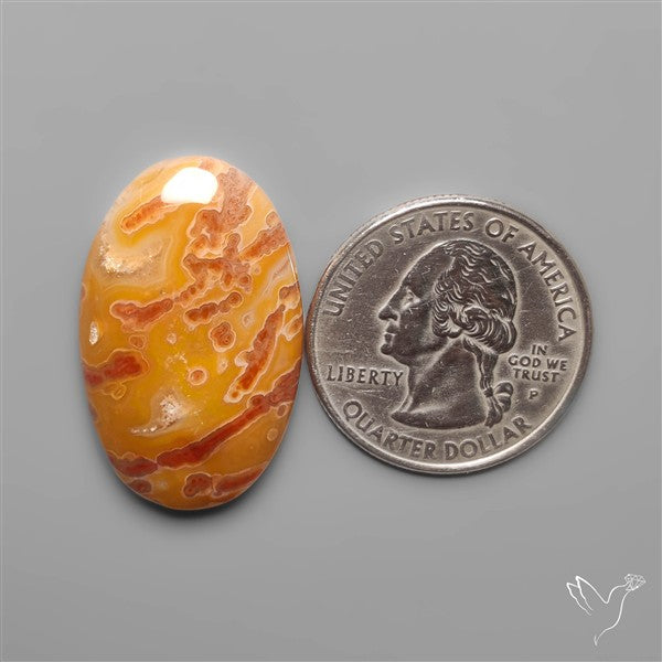 Rare Smugglers Cove Moss Agate Cabochon from Utah