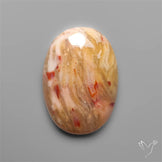 Rare Smugglers Cove Moss Agate Cabochon from Utah