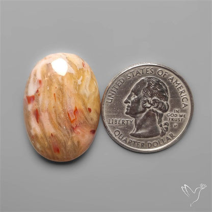 Rare Smugglers Cove Moss Agate Cabochon from Utah
