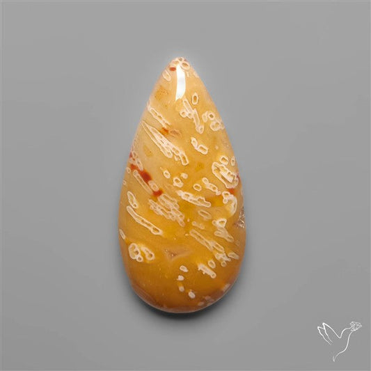 Rare Smugglers Cove Moss Agate Cabochon from Utah