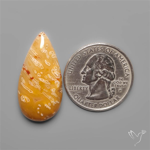 Rare Smugglers Cove Moss Agate Cabochon from Utah