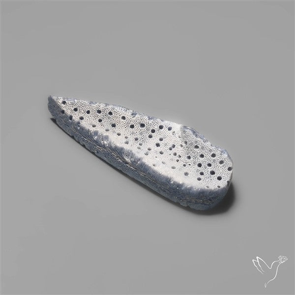 Blue Sponge Coral Raw Face