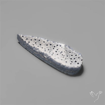 Blue Sponge Coral Raw Face