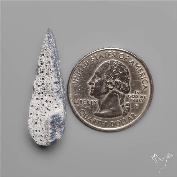 Blue Sponge Coral Raw Face