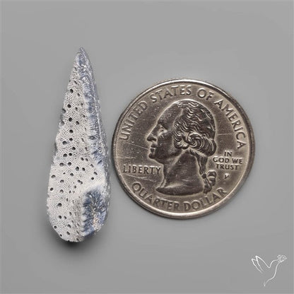 Blue Sponge Coral Raw Face
