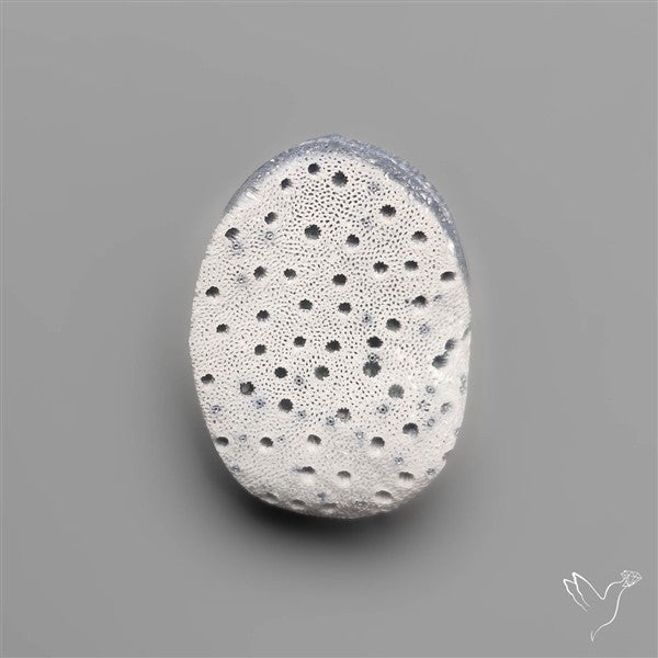 Blue Sponge Coral Raw Face
