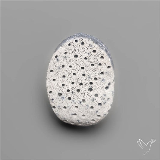 Blue Sponge Coral Raw Face