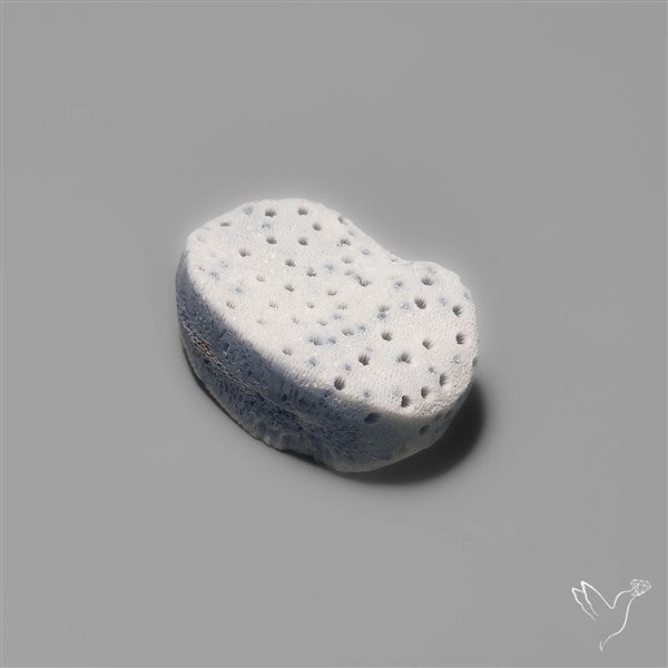 Blue Sponge Coral Raw Face
