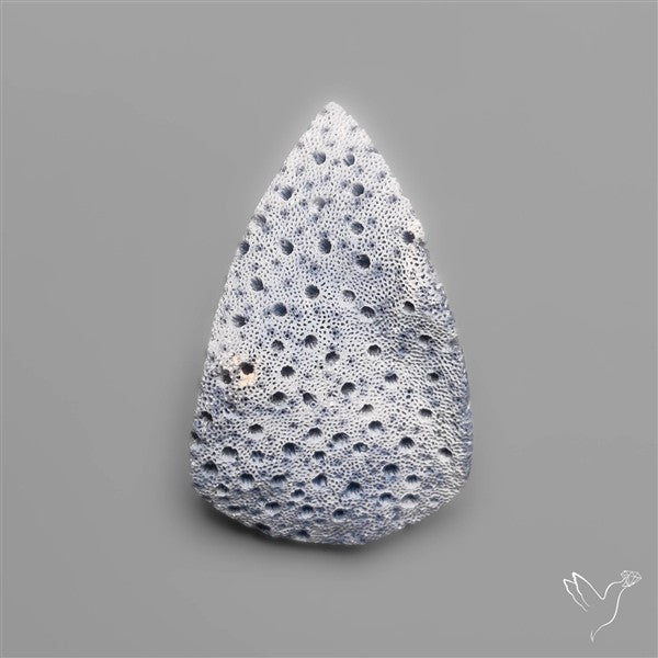 Blue Sponge Coral Raw Face