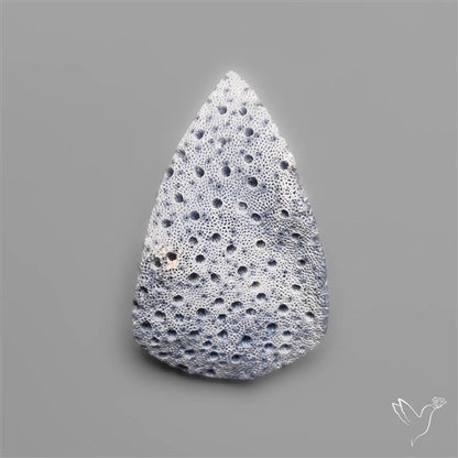 Blue Sponge Coral Raw Face