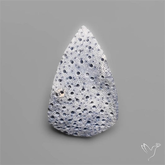 Blue Sponge Coral Raw Face