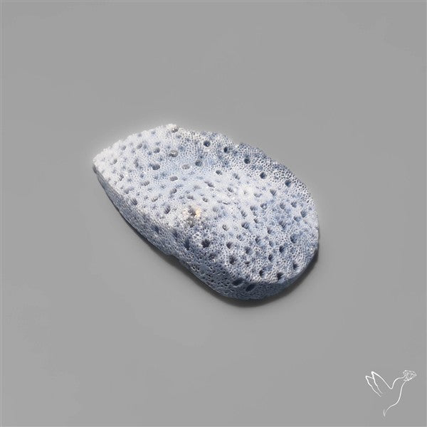 Blue Sponge Coral Raw Face