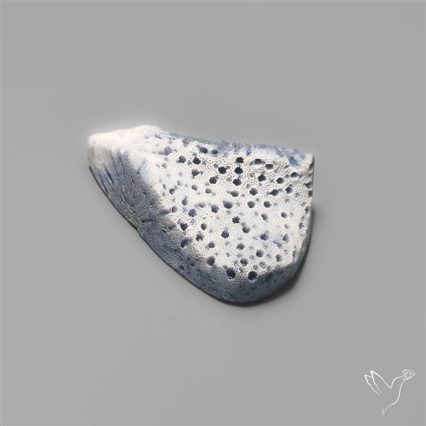 Blue Sponge Coral Raw Face