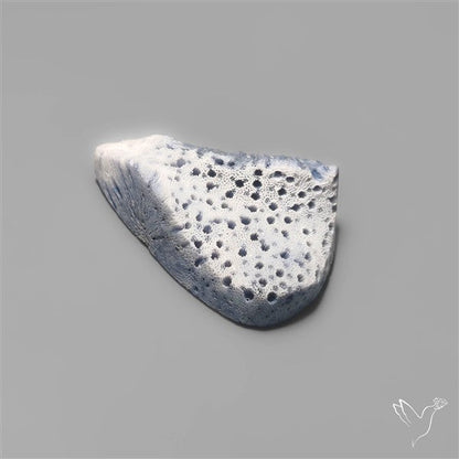 Blue Sponge Coral Raw Face