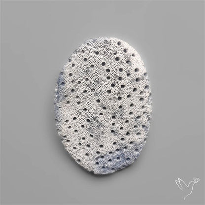 Blue Sponge Coral Raw Face