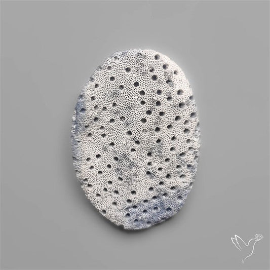 Blue Sponge Coral Raw Face