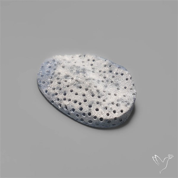 Blue Sponge Coral Raw Face