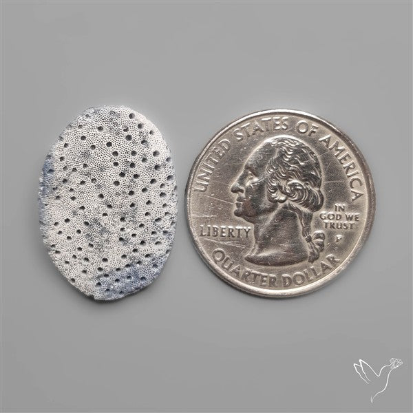 Blue Sponge Coral Raw Face