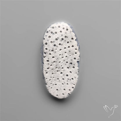 Blue Sponge Coral Raw Face