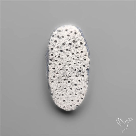 Blue Sponge Coral Raw Face
