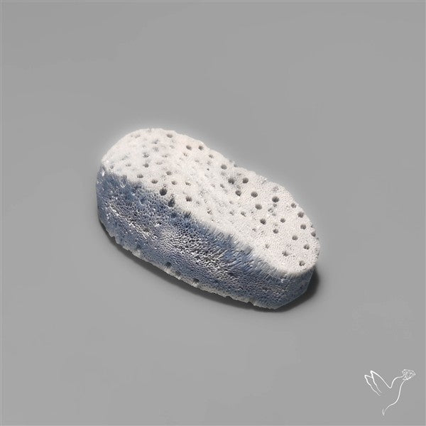 Blue Sponge Coral Raw Face