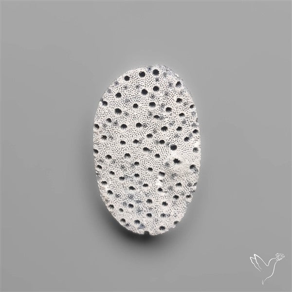 Blue Sponge Coral Raw Face
