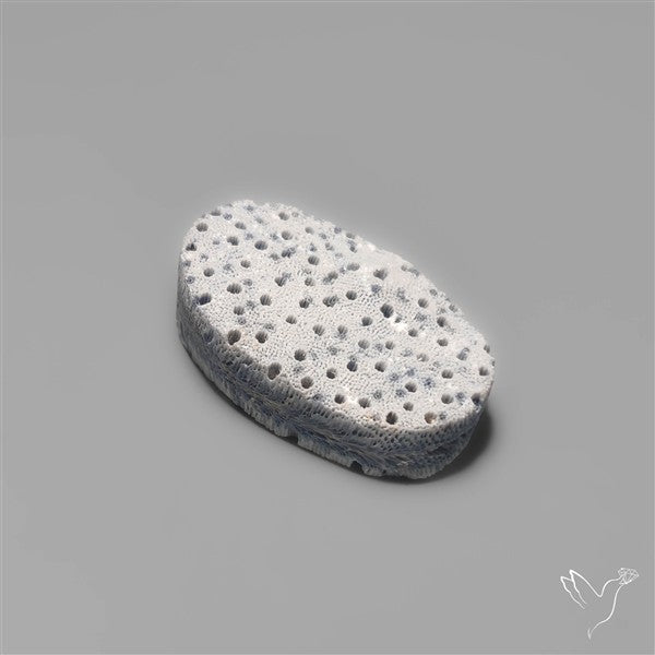 Blue Sponge Coral Raw Face