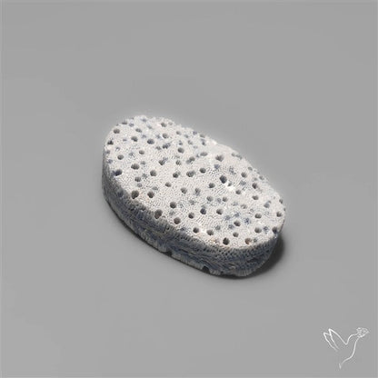 Blue Sponge Coral Raw Face