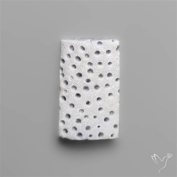 Blue Sponge Coral Raw Face