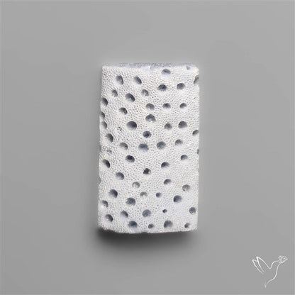 Blue Sponge Coral Raw Face