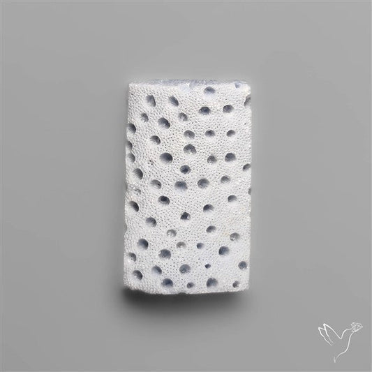 Blue Sponge Coral Raw Face