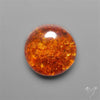 Baltic Amber Cabochon