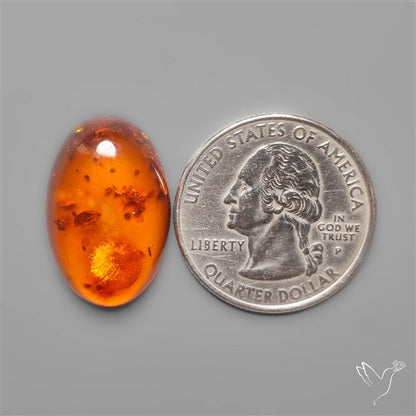 Baltic Amber Cabochon