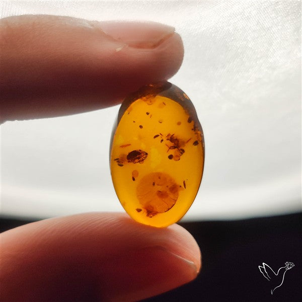 Baltic Amber Cabochon