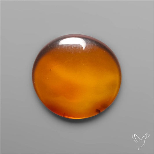 Baltic Amber Cabochon
